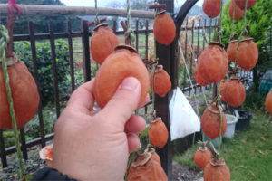 %e5%b9%b2%e3%81%97%e6%9f%bf-26hi