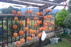 %e5%b9%b2%e3%81%97%e6%9f%bf-2hi