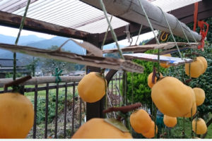 %e5%b9%b2%e3%81%97%e6%9f%bf2