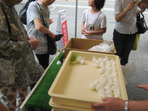 %e6%96%b0%e7%b1%b3%e3%81%be%e3%81%a4%e3%82%8a-1