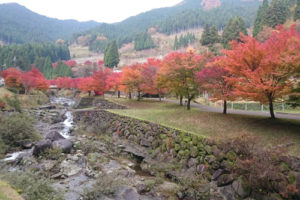 %e7%b4%85%e8%91%89-1