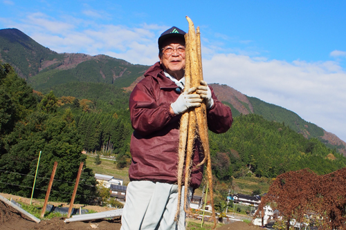 道の駅みなみ波賀　自然薯　朝日新聞に記載されました