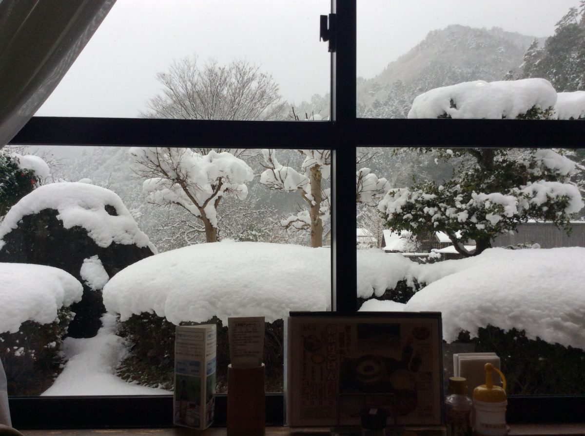 道の駅みなみ波賀 レストラン 窓の景色が…❗️❗️