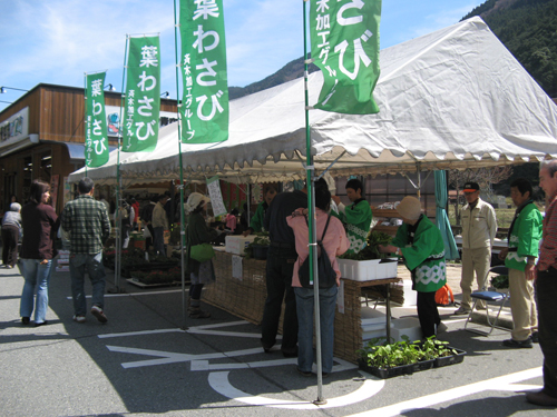 葉わさび山菜まつり　道の駅みなみ波賀