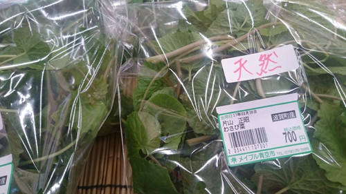 天然葉わさび　道の駅みなみ波賀