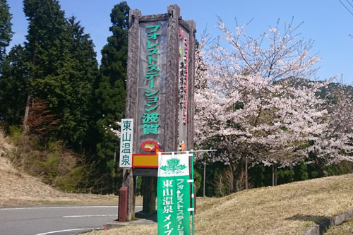 東山温泉　桜満開　道の駅みなみ波賀から１０分