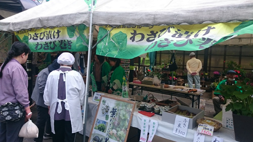 ゴールデンウイーク　斉木わさび生産組合山菜販売　道の駅みなみ波賀