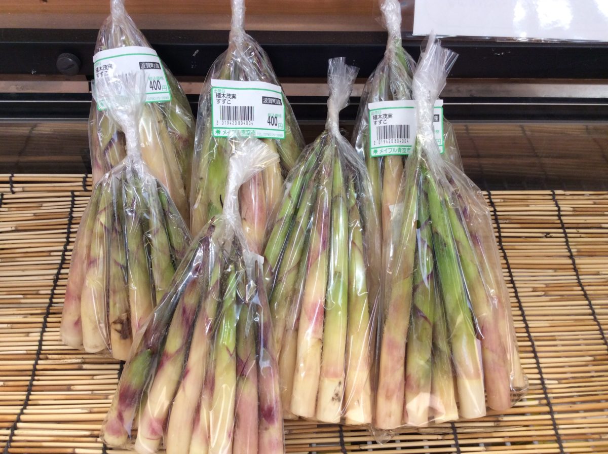 道の駅みなみ波賀  スズコ（ネマガリタケ）入荷のお知らせ