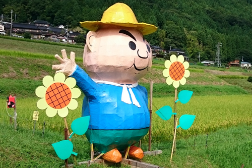 ２９年産コシヒカリ　生育順調　道の駅みなみ波賀