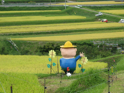 ２９年産新米コシヒカリ販売開始！　道の駅みなみ波賀　兵庫県産