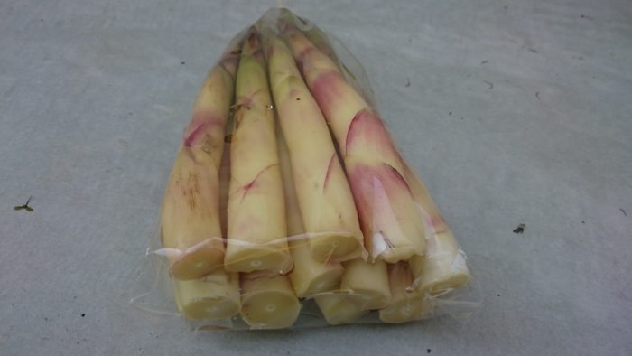 道の駅みなみ波賀　すずこ（ネマガリダケ）販売始まりました