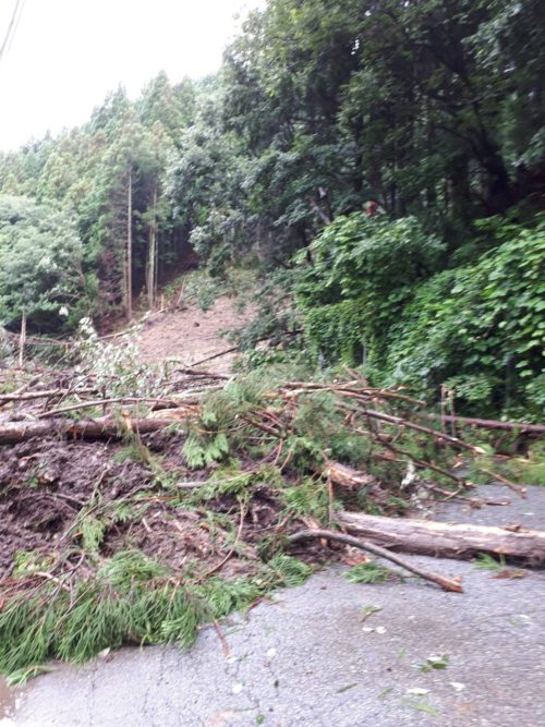 道の駅はが　Ｒ２９引原～戸倉間通行止め解除