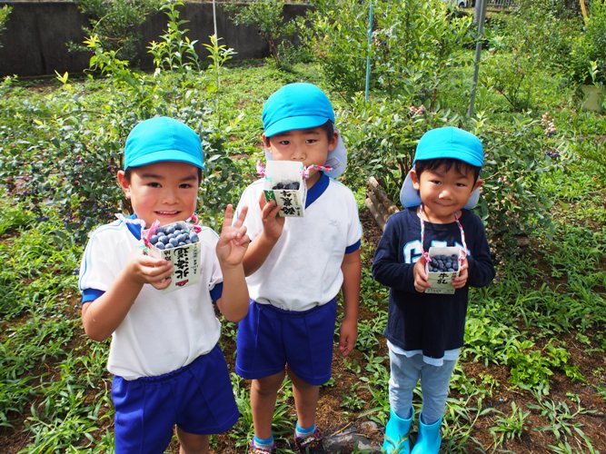 道の駅みなみ波賀　ブルーベリー狩り