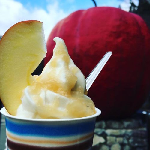 道の駅はが　りんご　極濃りんごソフト　期間限定　