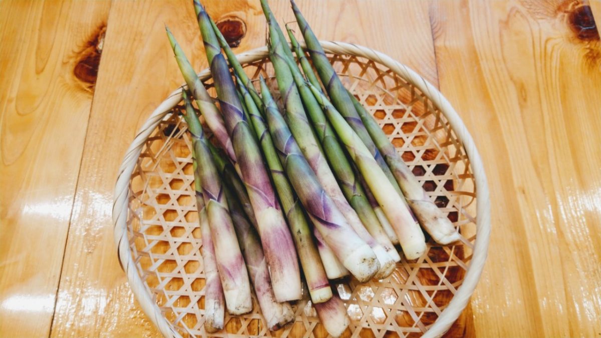 道の駅はが　すずこの季節がやってきました　氷ノ山　山の幸