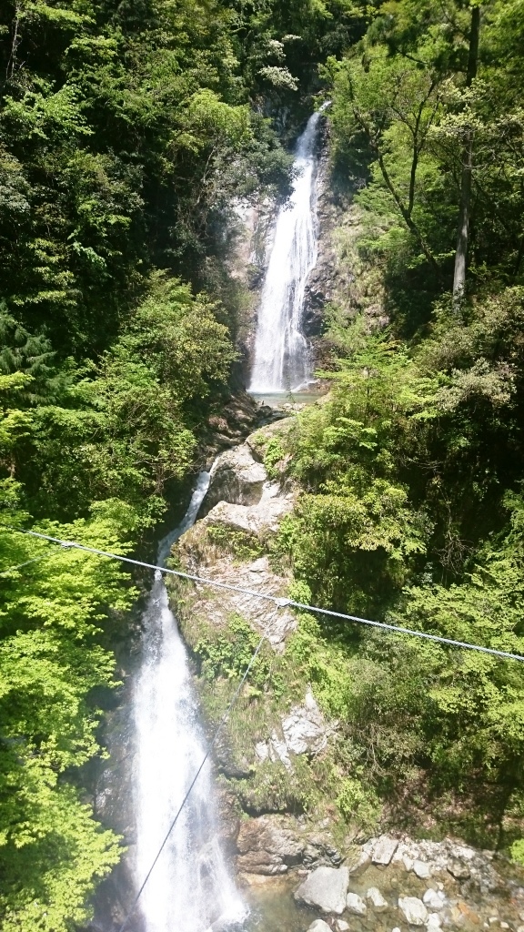 原不動滝　読売テレビ朝ナマワイドす・またんで中継　波賀温泉楓香荘から歩いて10分
