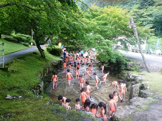アマゴつかみ　園児たちが大喜び　波賀温泉楓香荘