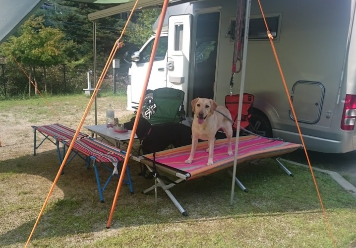 波賀温泉楓香荘　オートキャンプ　ワンちゃん　川遊び