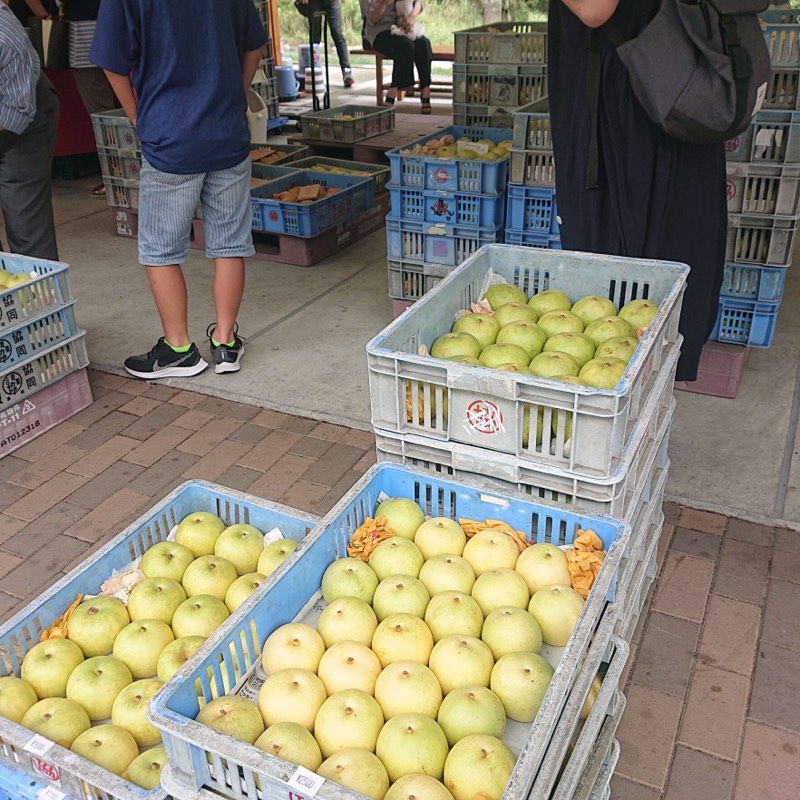 鳥取直送、梨即売会❗️ 道の駅みなみ波賀
