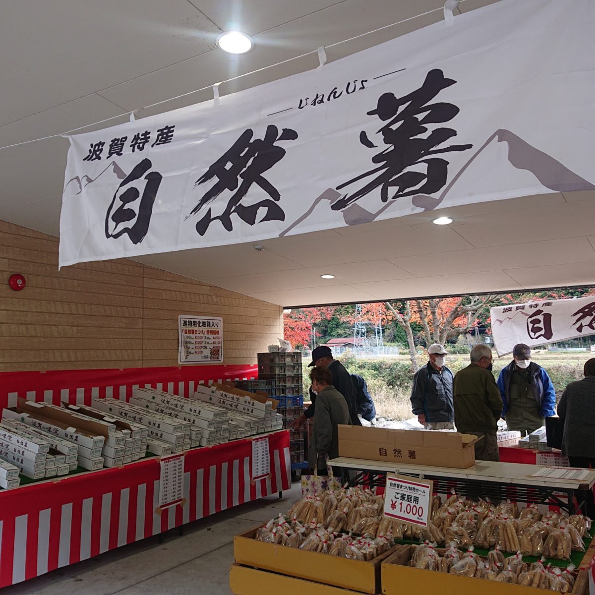 自然薯販売！　道の駅みなみ波賀