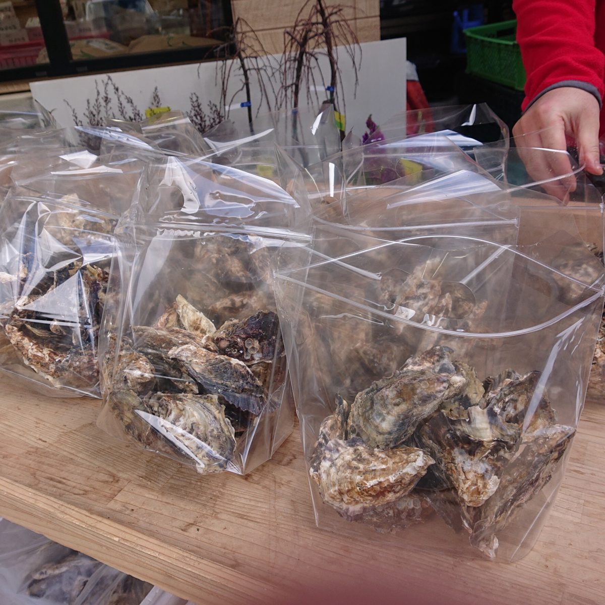 牡蠣売り出し中！　道の駅みなみ波賀